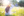 Leichtigkeit der Pusteblume